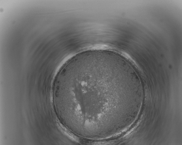 X0000068841232200605121358