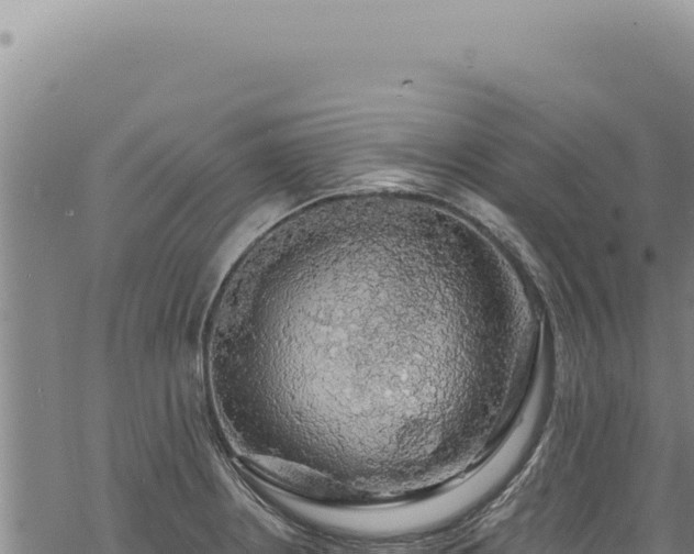 X0000068841234200605121358