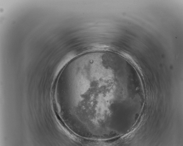 X0000068841235200605121358