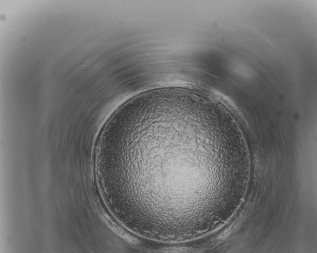 X0000068841236200605121358