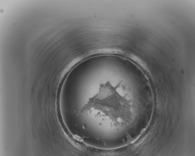 X0000068841237200605121358