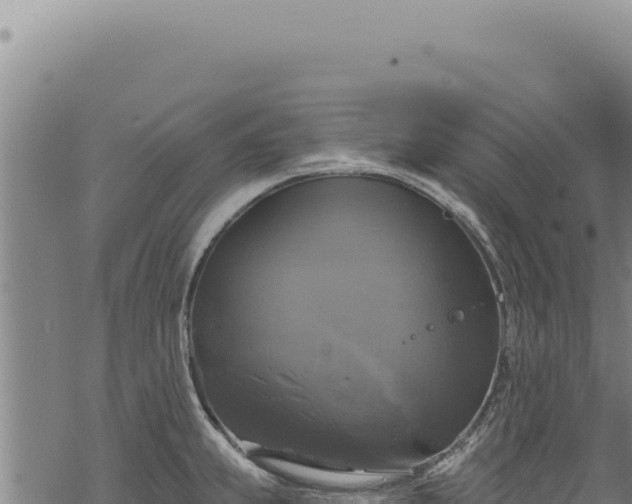 X0000068841239200605121358