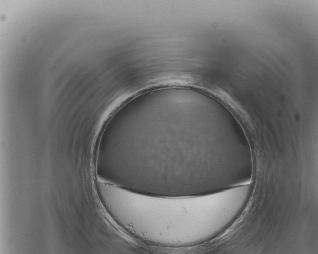 X0000068841240200605121358