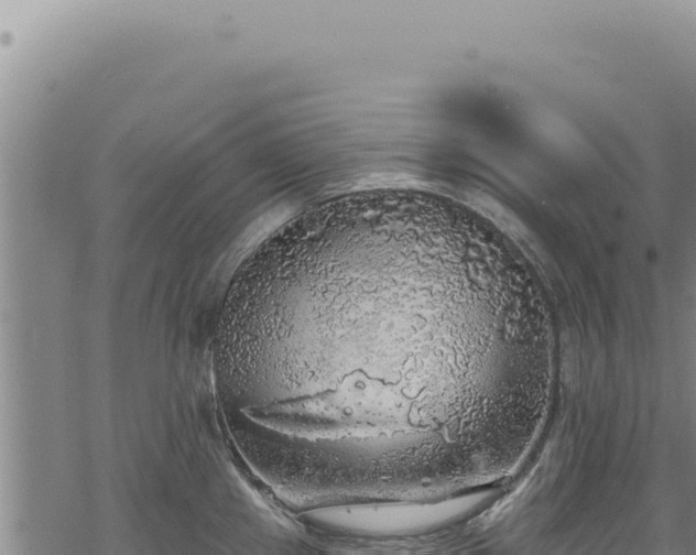 X0000068841241200605121358