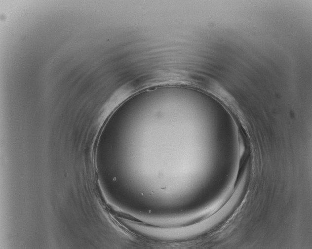 X0000068841242200605121358