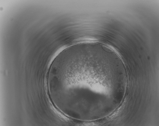 X0000068841243200605121358