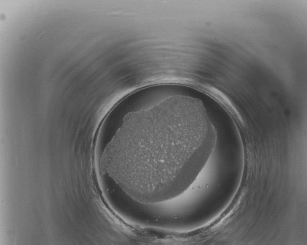 X0000068841244200605121358