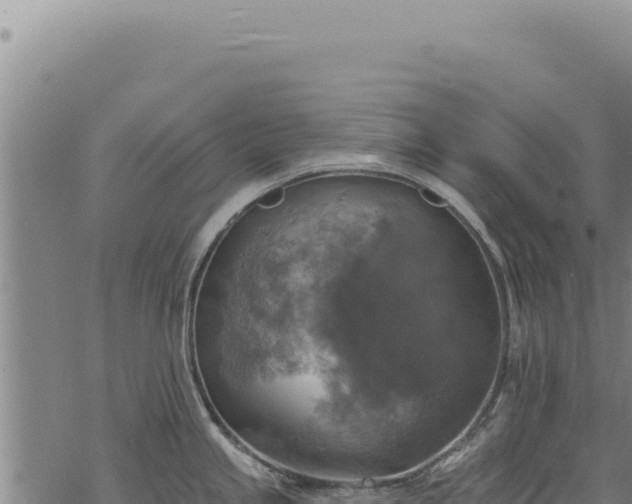 X0000068841245200605121358