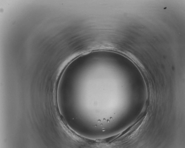 X0000068841246200605121358