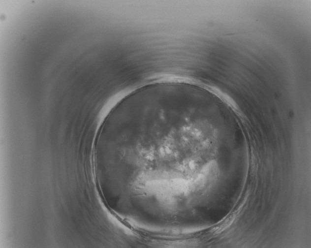 X0000068841247200605121358