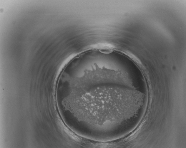 X0000068841248200605121358