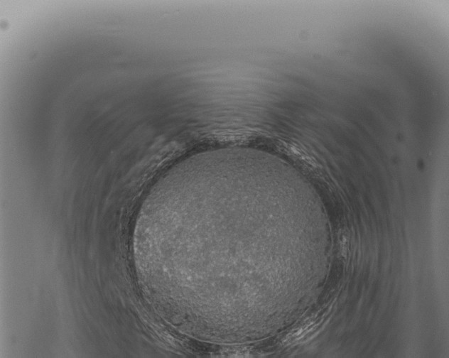 X0000068841249200605121358