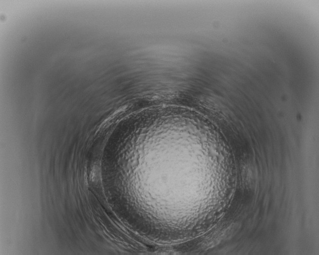 X0000068841250200605121358