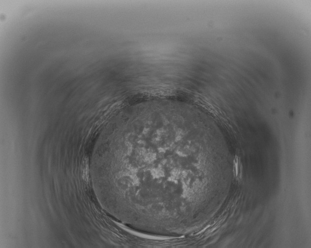 X0000068841251200605121358