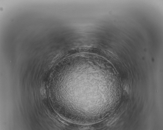 X0000068841252200605121358