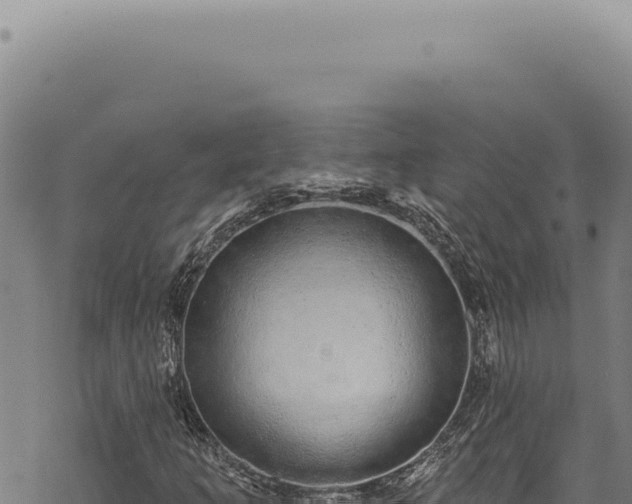 X0000068841253200605121358