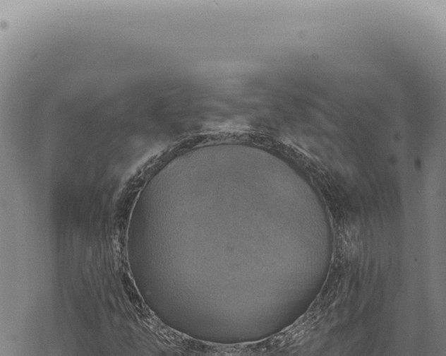 X0000068841254200605121358