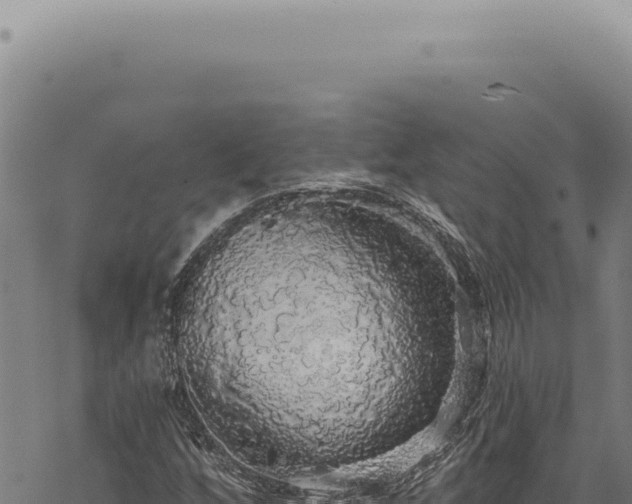 X0000068841256200605121358