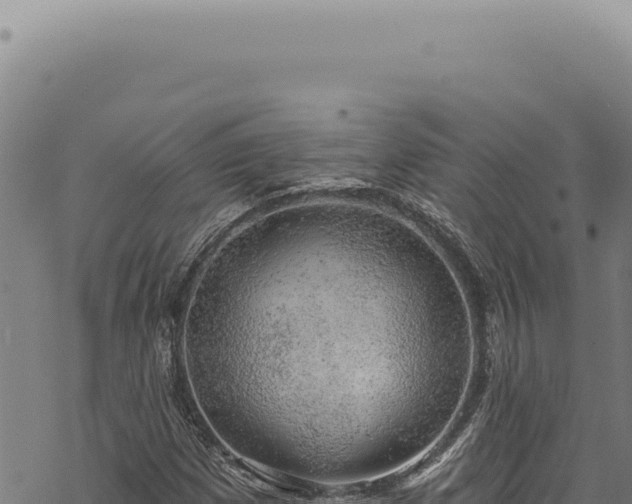 X0000068841257200605121358