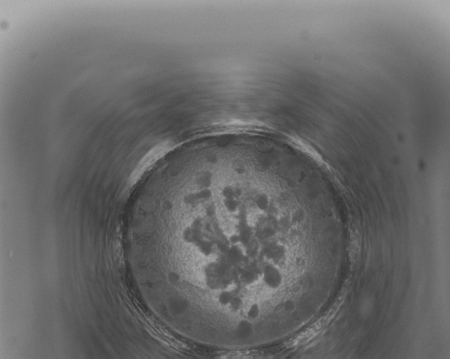 X0000068841259200605121357