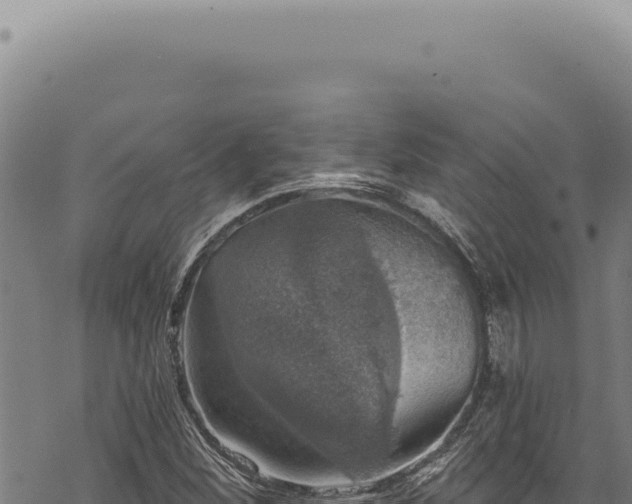 X0000068841260200605121357