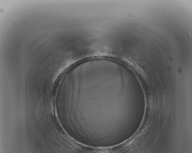 X0000068841262200605121357