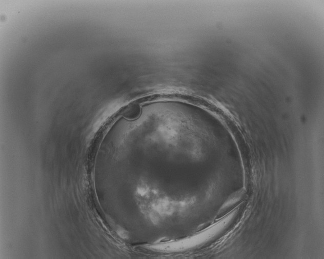 X0000068841263200605121357