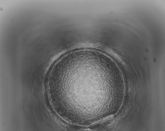 X0000068841264200605121357