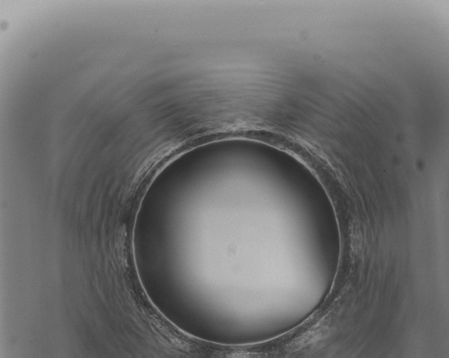 X0000068841265200605121357