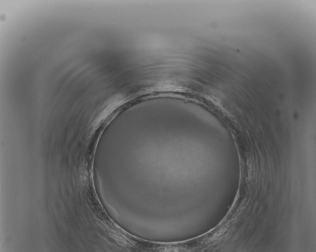 X0000068841266200605121357