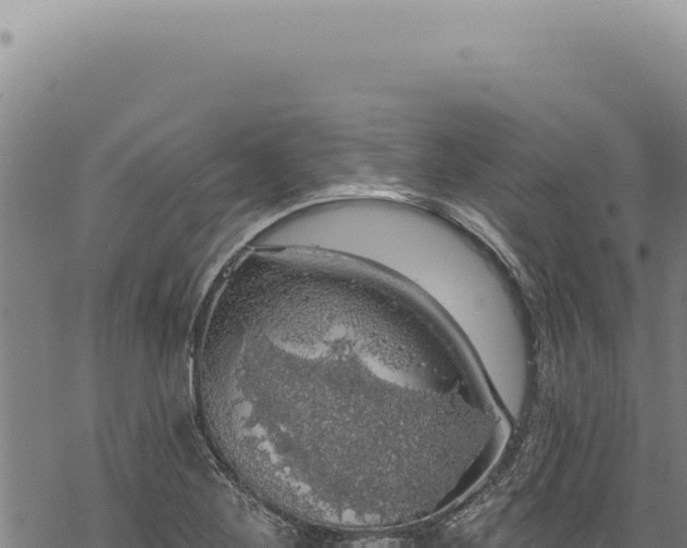 X0000068841268200605121357