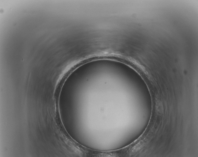 X0000068841270200605121357