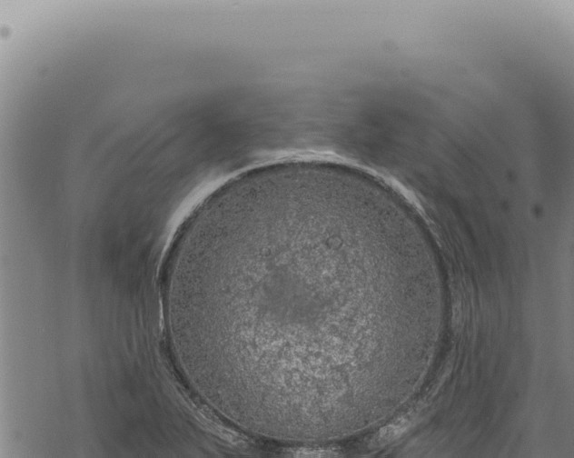 X0000068841271200605121357