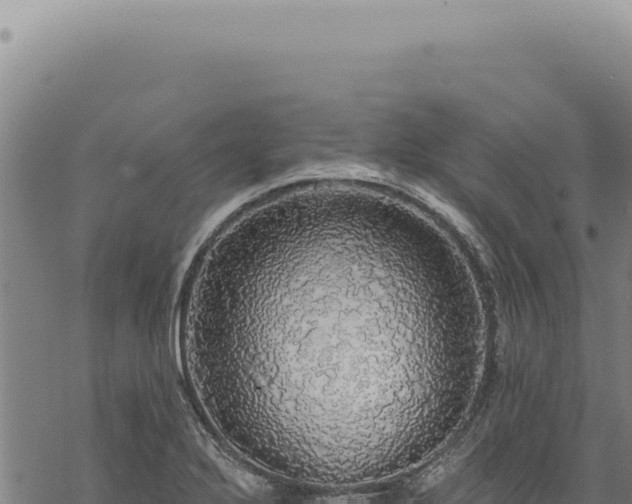 X0000068841272200605121357