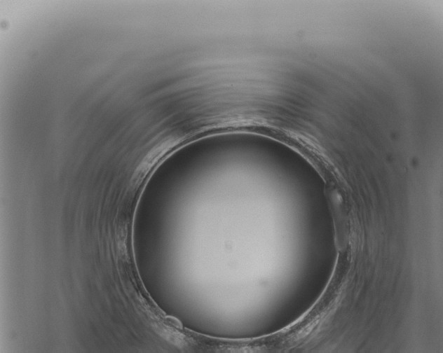 X0000068841273200605121357