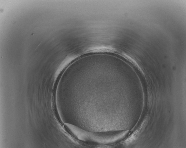 X0000068841277200605121357