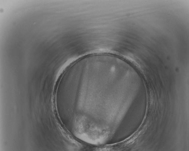 X0000068841278200605121357