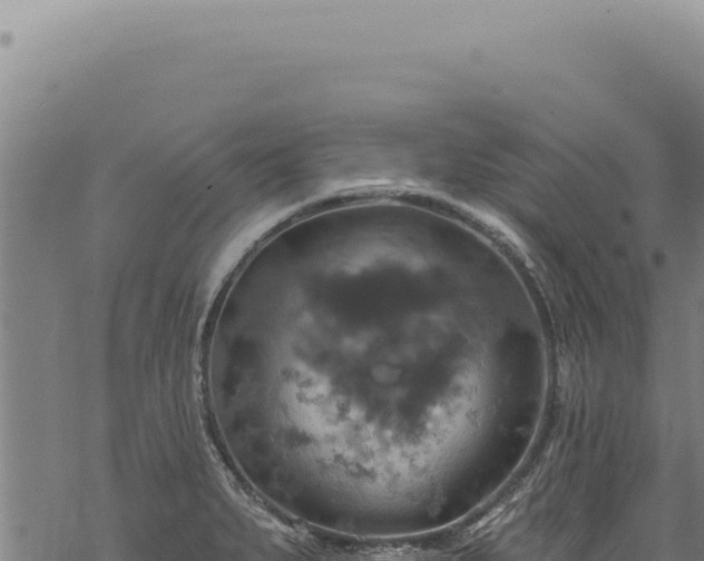 X0000068841279200605121357