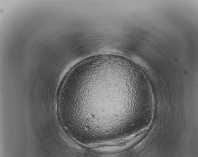 X0000068841280200605121357