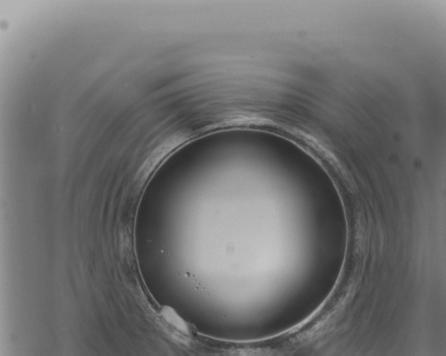 X0000068841281200605121357