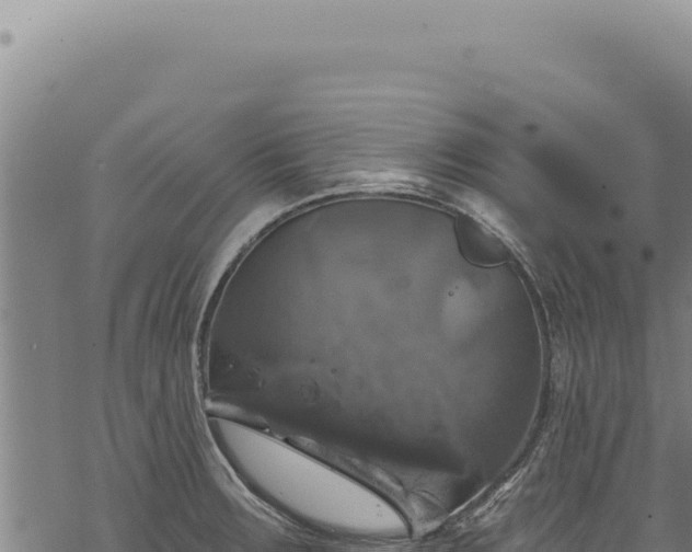 X0000068841283200605121357