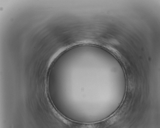 X0000068841286200605121357