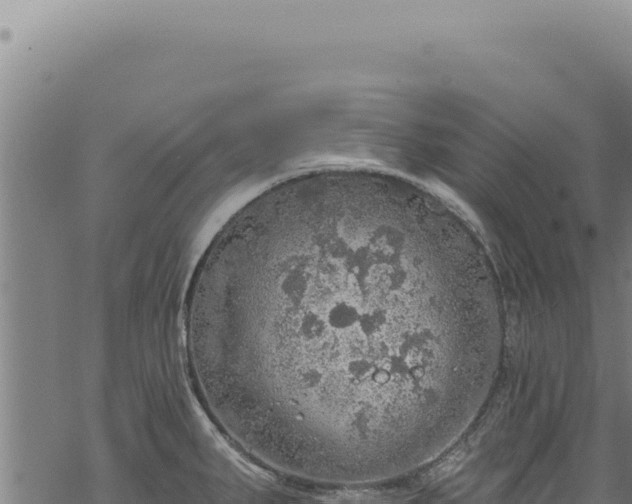 X0000068841287200605121357