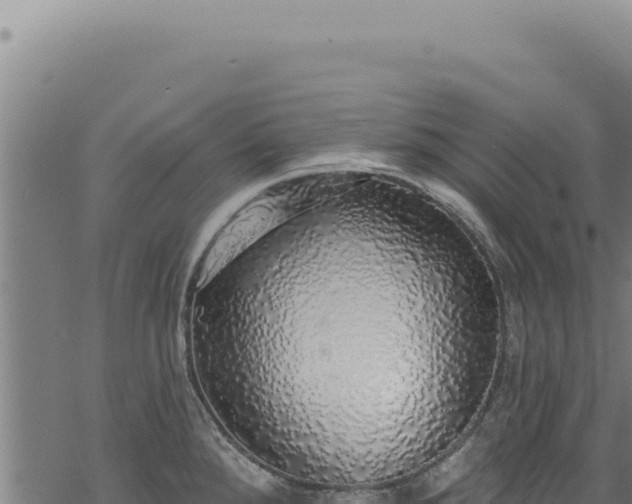 X0000068841288200605121357