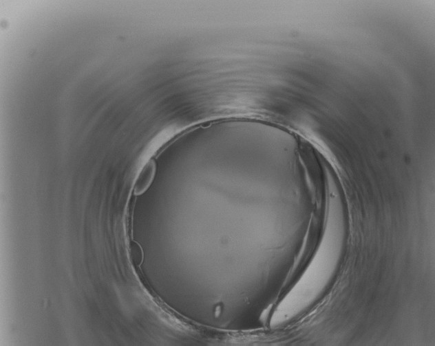 X0000068841291200605121357