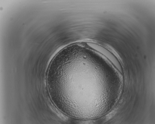 X0000068841292200605121357