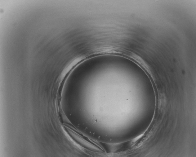 X0000068841293200605121357