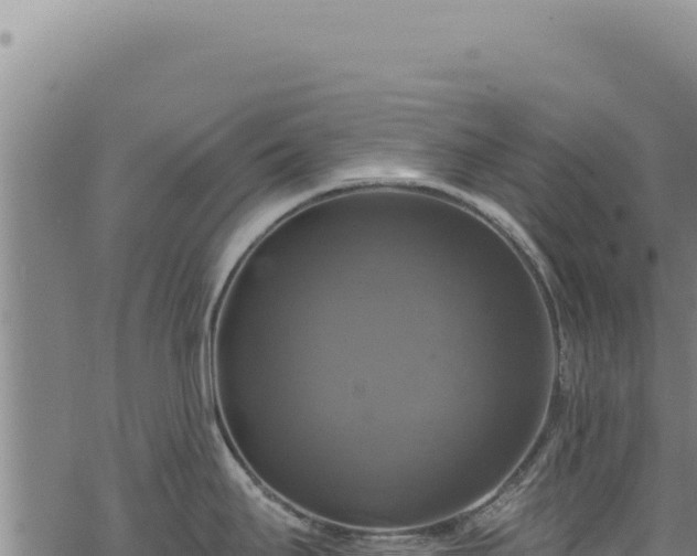 X0000068841295200605121357