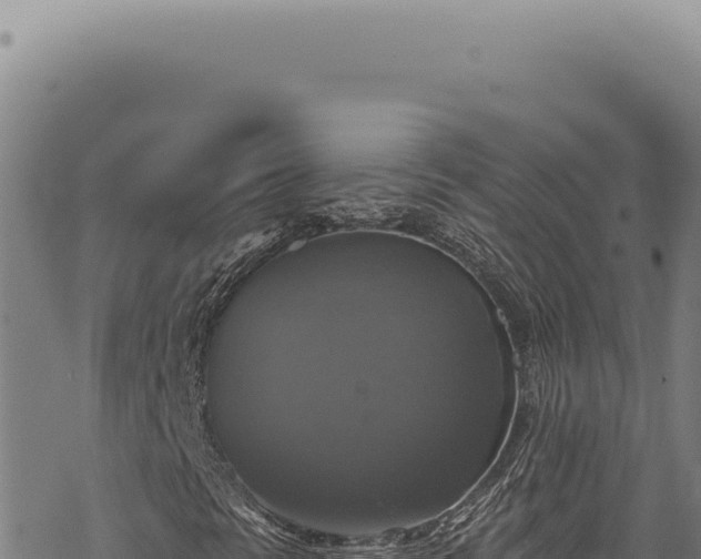 X0000068841297200605121356