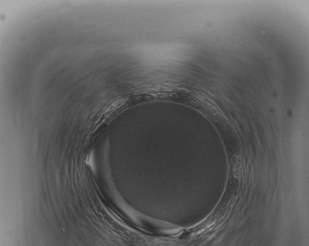 X0000068841298200605121356